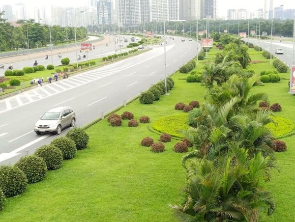 Đại lộ Thăng Long: Cây xanh che khuất tầm nhìn tiềm ẩn nguy cơ mất ATGT