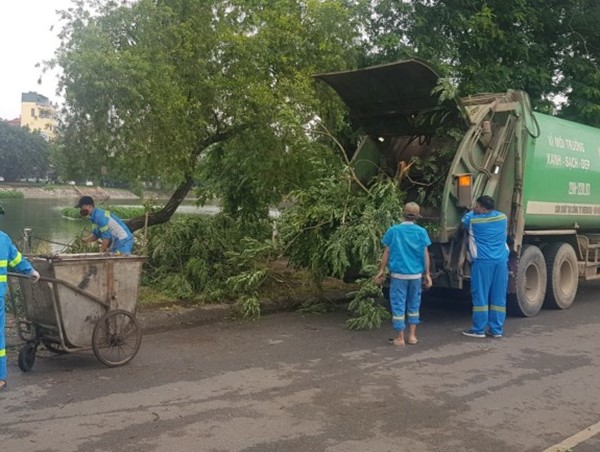 Hà Nội cắt tỉa cây xanh phòng mưa bão