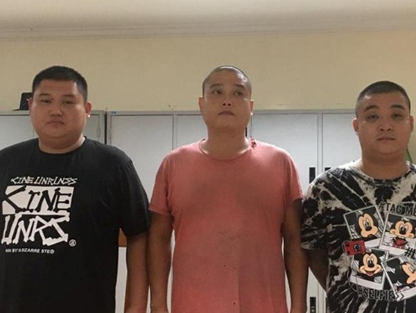 Hà Nội: Khởi tố nhóm trộm cây cảnh trong mùa dịch Covid-19