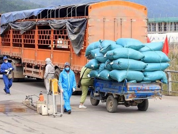 Hà Nội: Hướng dẫn về hoạt động vận tải hành khách, hàng hoá