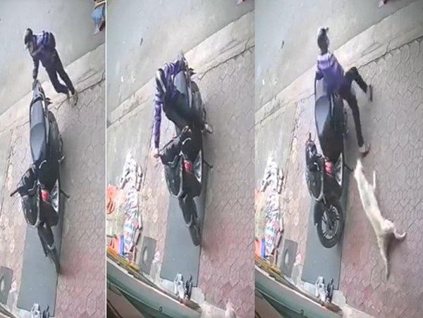 [Clip] Bẻ khóa SH mất 3 giây, tên trộm nhận lại cái kết bất ngờ