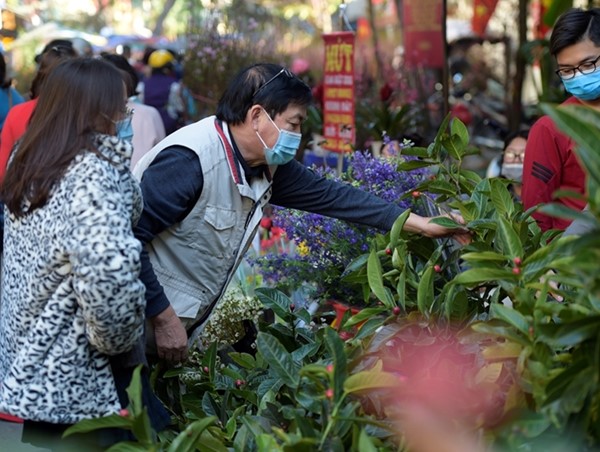 Chuẩn bị tốt các điều kiện phục vụ Nhân dân đón Tết Nhâm Dần 