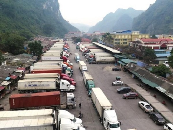 Lạng Sơn tạm dừng tiếp nhận xe chở hàng hoa quả tươi lên cửa khẩu