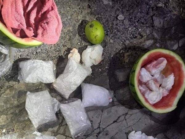 Giấu nửa cân ma túy trong quả dưa hấu cũng không thoát