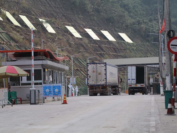Lạng Sơn khuyến cáo các doanh nghiệp cân nhắc khi đưa hoa quả tươi lên khu vực các cửa khẩu