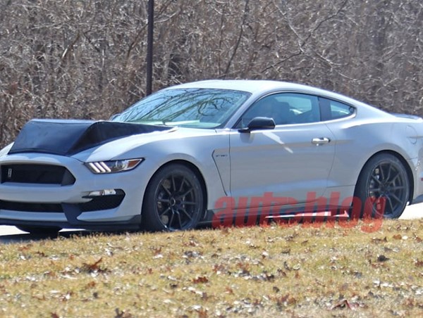 Ford thử nghiệm Mustang Shelby GT350 Mule với mui xe kỳ lạ
