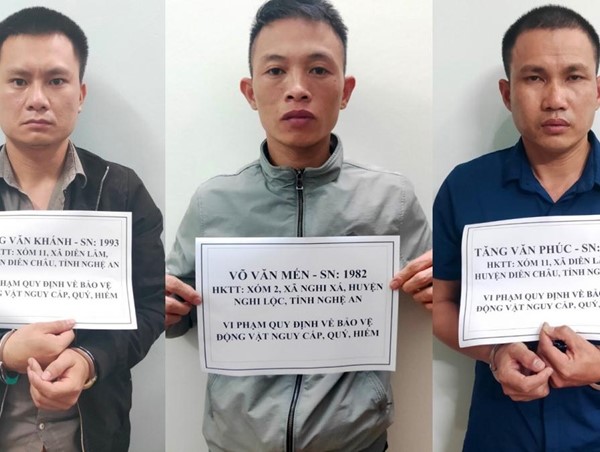 Công an tỉnh Lai Châu: Triệt phá đường dây vận chuyển, mua bán động vật quý hiếm