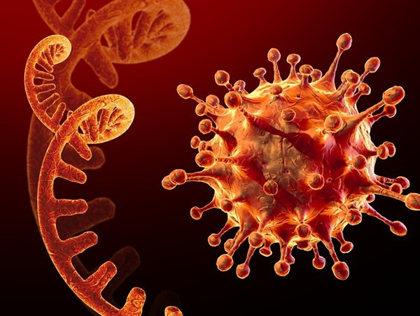 WHO đưa thêm 2 biến thể phụ mới của Omicron vào danh sách cần theo dõi