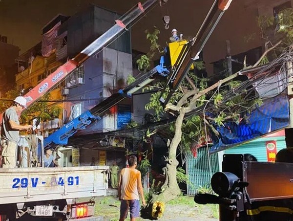 Container đâm gãy cành cây, rơi trúng một học sinh