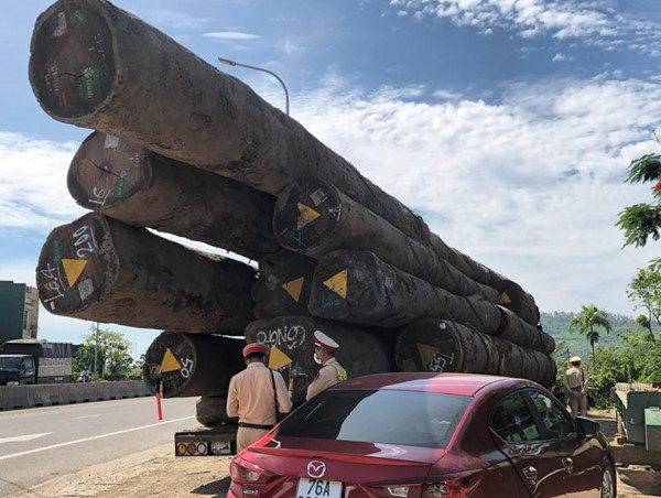Quảng Ngãi: Tạm giữ xe đầu kéo “khủng” chở hơn 83m3 gỗ lim
