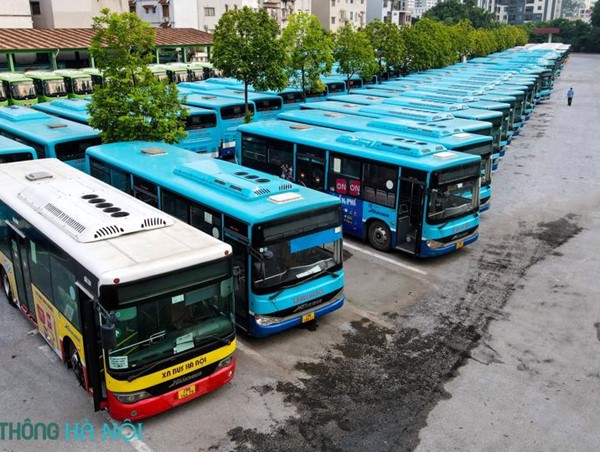 Hoạt động vận tải hành khách: Mỏi mắt tìm hải đăng trong bão