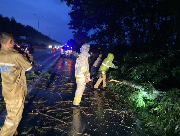 [CLIP]: Sau trận mưa lớn cây đổ và ngập trên các tuyến phố Hà Nội 