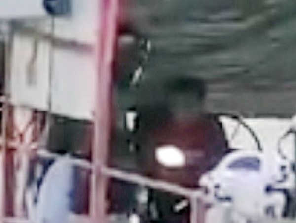 [CLIP]: Bé trai lái phà chở khách trên sông Đồng Nai