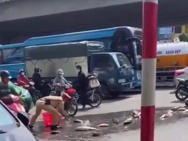 CLIP: CSGT Hà Nội nhặt giúp dân hơn 1 tạ cá bị đổ giữa đường  