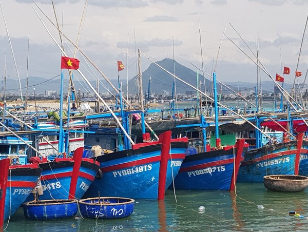 Thành lập Hội đồng thẩm định Quy hoạch cảng cá, khu neo đậu tránh trú bão cho tàu cá