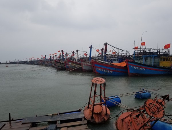 Tăng cường đảm bảo an toàn tàu thuyền ứng phó với bão số 6