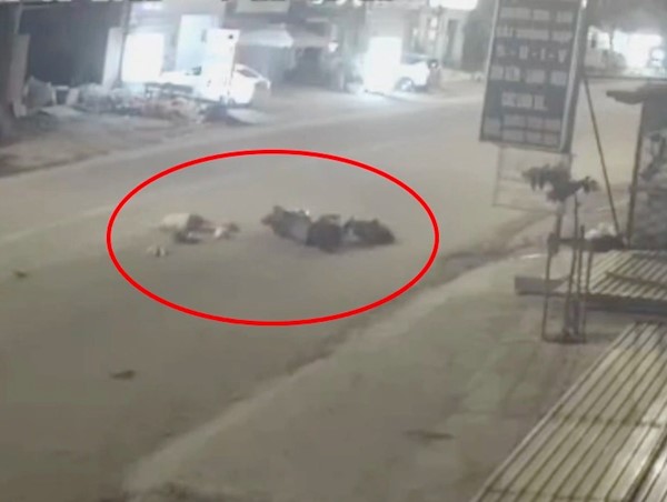 CLIP: Người đàn ông tử vong vì sụp "ổ gà" trong đêm