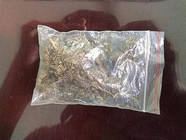 Gặp cảnh sát 141, thanh niên tự nguyện giao nộp... cần sa