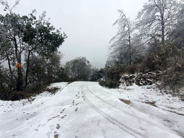 Chủ động ứng phó với rét hại, băng giá, sương muối tại các tỉnh Bắc Bộ