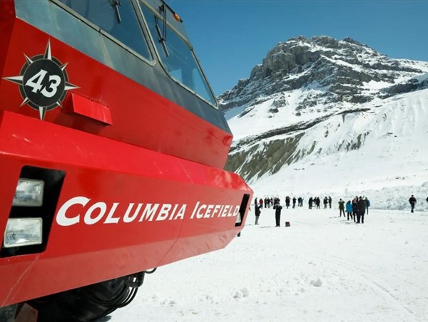 Xe buýt chở khách bị lật trên cao tốc, hàng chục người thương vong