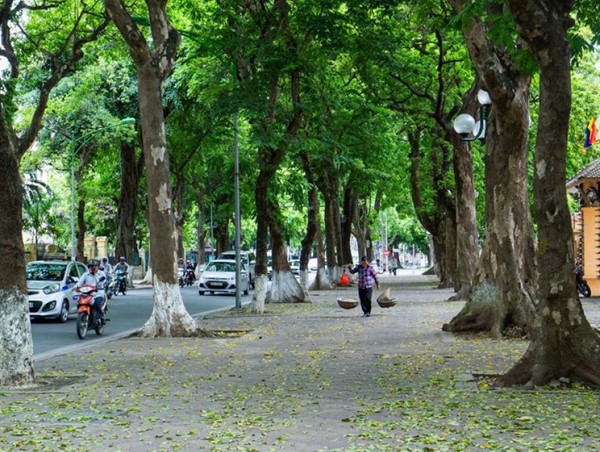 Trông giữ xe trên hè phố: Bỏ quy định không phù hợp