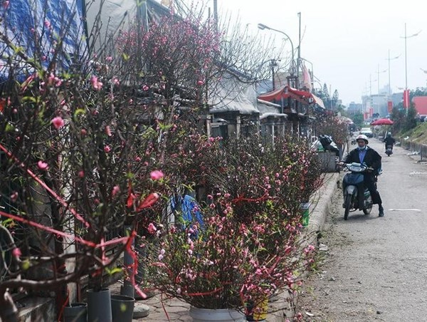 Thời tiết dịp Tết Nguyên đán Quý Mão 2023 ra sao?