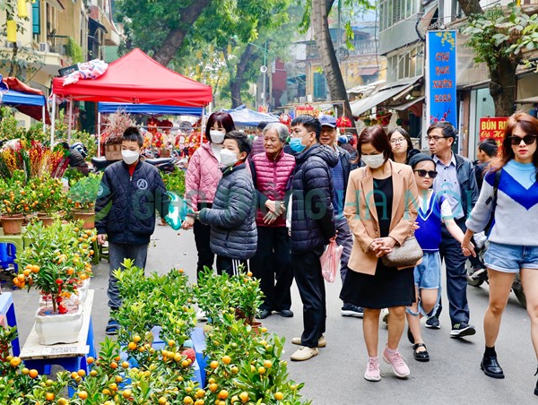 Chợ hoa Hàng Lược nhộn nhịp những ngày cận Tết Nguyên đán 