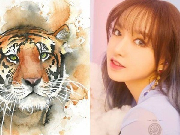 Ngày 19/1/2023: 2 con giáp làm gì cũng thành công