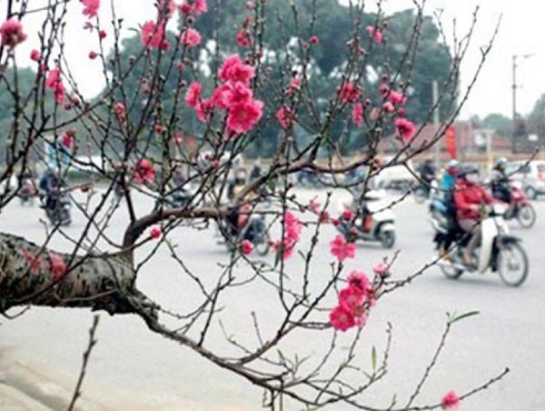 Dự báo thời tiết từ ngày mùng 1 đến mùng 5 Tết Quý Mão 2023 