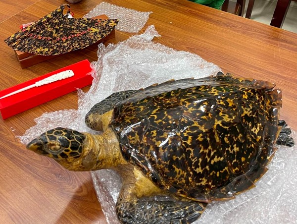 Bắt giữ đối tượng vi phạm quy định về bảo vệ động vật hoang dã quý hiếm 