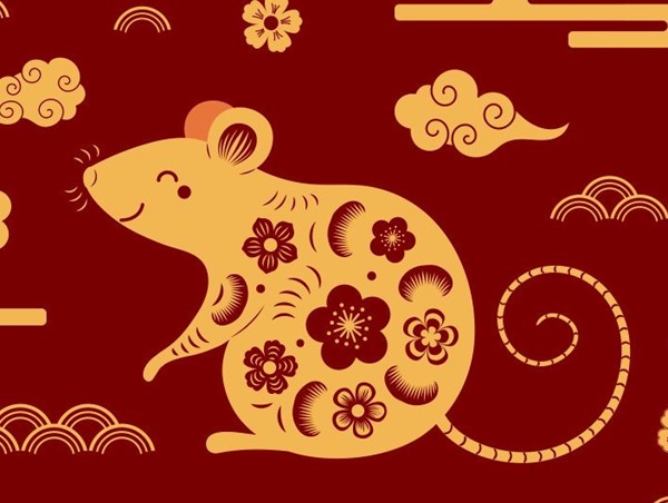 Tử vi hàng ngày 12 con giáp Chủ Nhật 29/1/2023: Tý tràn đầy năng lượng khi bắt tay vào công việc