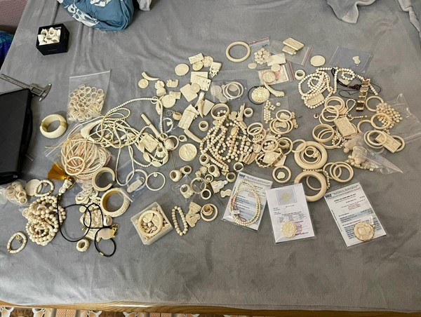 Bắt giữ đối tượng tàng trữ các sản phẩm từ động vật hoang dã quý hiếm