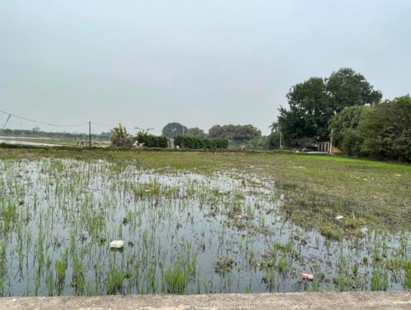 Bố trí khu tái định cư dự án Vành đai 4 - Vùng Thủ đô tại Thường Tín