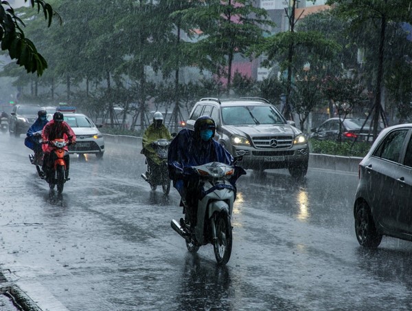 Thời tiết ngày 29/3: Mưa rét bao trùm vùng núi Bắc Bộ, cảnh báo mưa dông kèm lốc sét