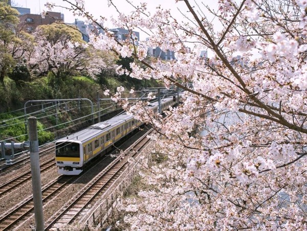 Khám phá những thành phố có phương tiện công cộng tốt nhất thế giới