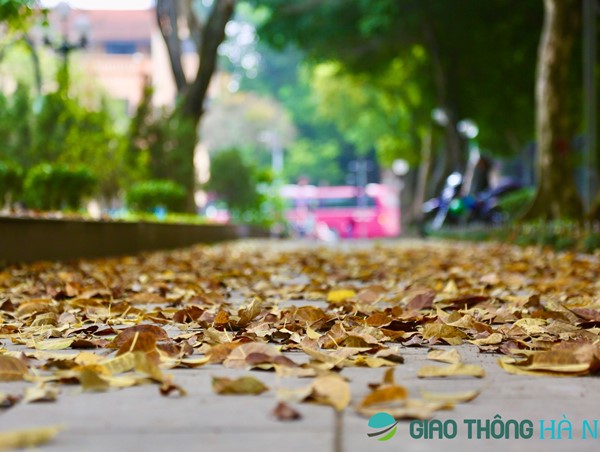 Tuần mới, Hà Nội đón đợt không khí lạnh cuối cùng của năm 2023