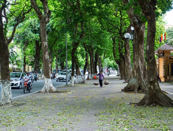 Thời tiết ngày 14/5: Miền Bắc trời dịu mát, nhiều khu vực trên cả nước tiếp tục mưa dông