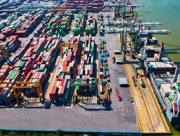 Cho phép cảng VIMC Đình Vũ tiếp tục khai thác hàng container đến hết tháng 6/2024