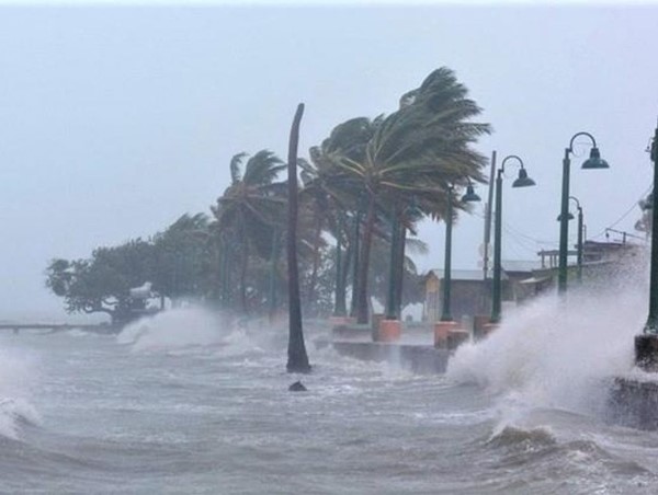 Chủ động ứng phó áp thấp nhiệt đới trên vịnh Bắc Bộ