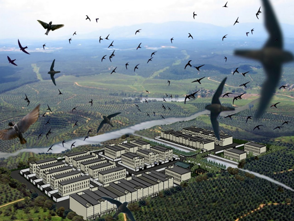 Ngăn chặn tình trạng săn bắt trái phép chim yến 