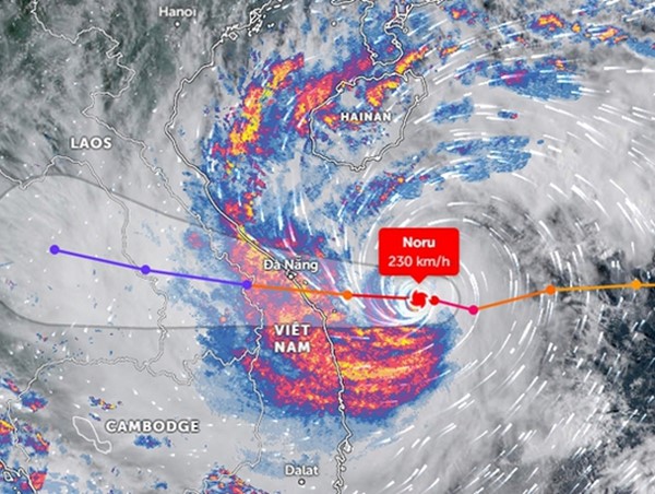 Truyền, phát sai lệch bản tin dự báo, cảnh báo thiên tai khí tượng thủy văn bị phạt đến 100 triệu đồng