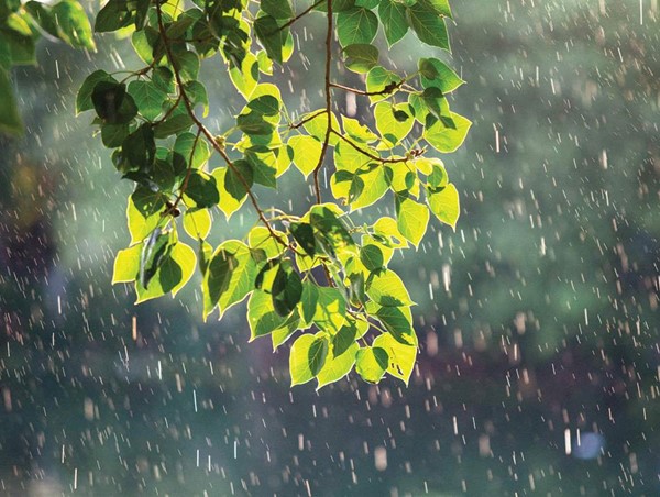 Dự báo thời tiết 10 ngày tới từ đêm 29/7 đến 8/8 ở cả 3 miền