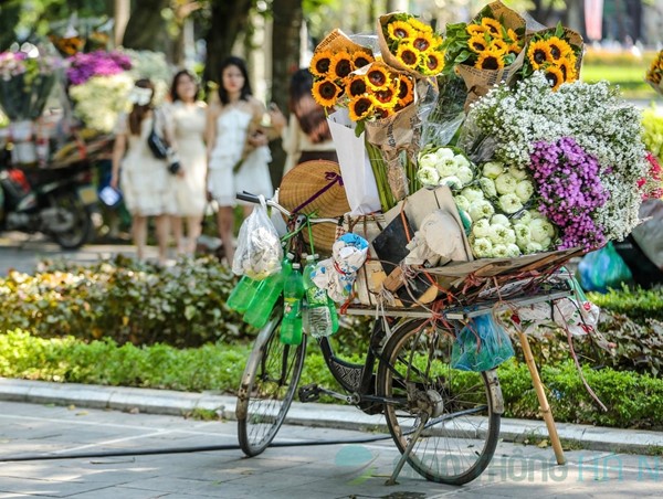 Xe chở hoa rực rỡ sắc màu thu hút giới trẻ check-in