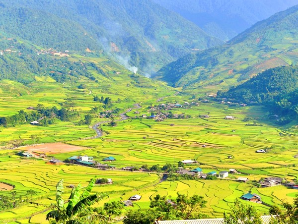 Có hẹn với mùa lúa chín rực sắc Thu vàng trên vùng cao Tây Bắc