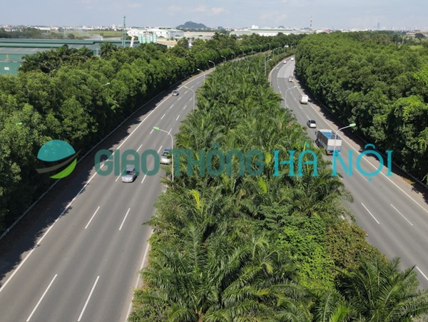 Hàng cây xanh mát tại đại lộ dài nhất và hiện đại nhất Việt Nam