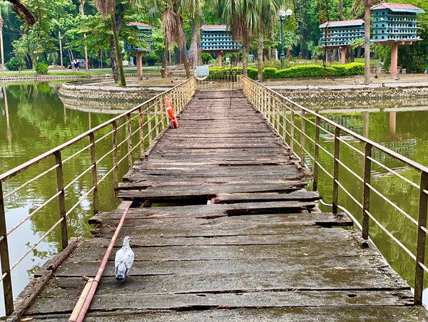 Hiện trạng 3 công viên được chi gần 900 trăm tỷ để cải tạo lại không gian xanh