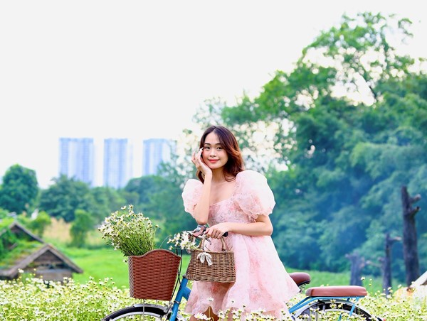 Thiếu nữ thả dáng bên cúc hoạ mi nở rộ trắng tinh khôi