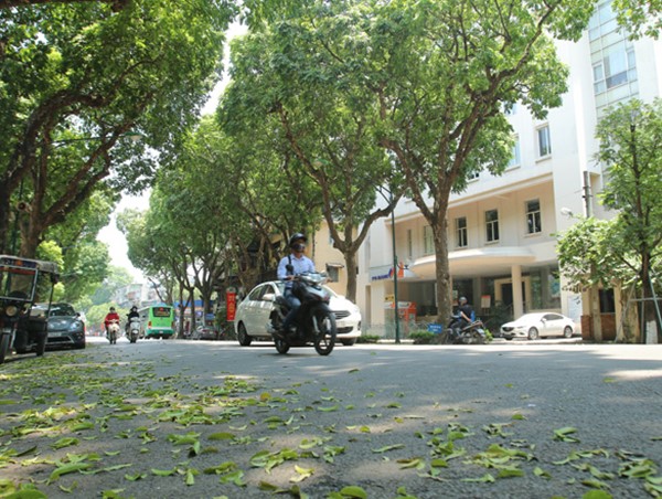 Dự báo thời tiết ngày 9/11: Nhiều khu vực trên cả nước ngày nắng, chiều tối và đêm có mưa dông