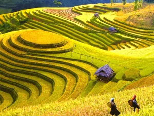 Tổ chức Năm Du lịch quốc gia - Điện Biên 2024