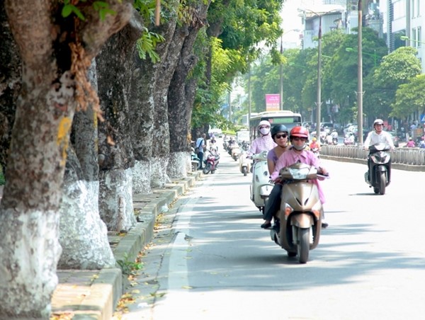 Thời tiết ngày 28/11: Miền Bắc tiếp tục chuỗi ngày nắng, nhiệt độ cao nhất tới 29 độ C